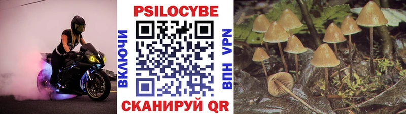 Псилоцибиновые грибы мухоморы гидра как зайти Катайск